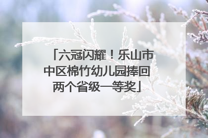 六冠闪耀！乐山市中区棉竹幼儿园捧回两个省级一等奖