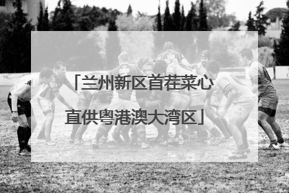 兰州新区首茬菜心直供粤港澳大湾区