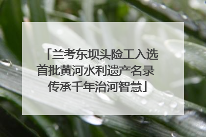 兰考东坝头险工入选首批黄河水利遗产名录 传承千年治河智慧