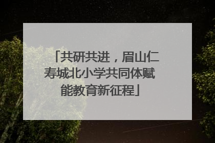 共研共进，眉山仁寿城北小学共同体赋能教育新征程