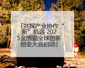 共探产业协作“新”机遇 2025金熊猫全球创新创业大赛启动