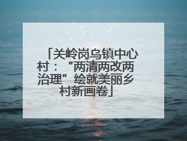 关岭岗乌镇中心村：“两清两改两治理”绘就美丽乡村新画卷