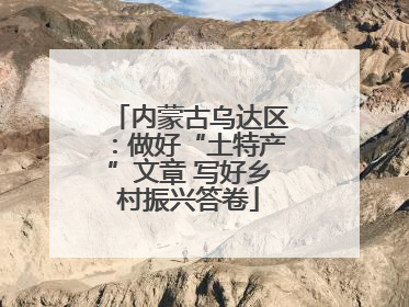 内蒙古乌达区：做好“土特产”文章 写好乡村振兴答卷
