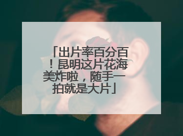 出片率百分百！昆明这片花海美炸啦，随手一拍就是大片