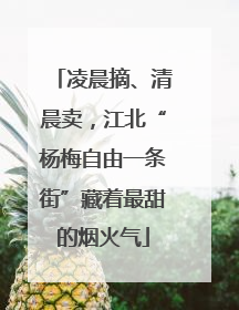 凌晨摘、清晨卖，江北“杨梅自由一条街”藏着最甜的烟火气