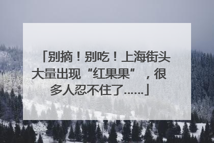 别摘！别吃！上海街头大量出现“红果果”，很多人忍不住了……