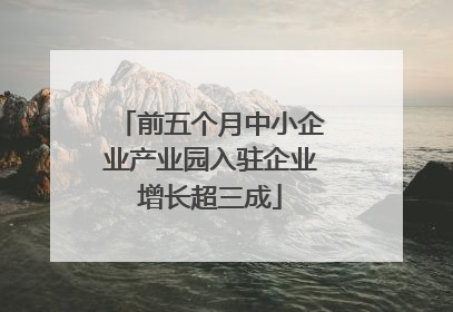 前五个月中小企业产业园入驻企业增长超三成