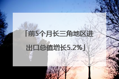 前5个月长三角地区进出口总值增长5.2%