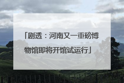 剧透：河南又一重磅博物馆即将开馆试运行