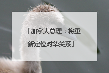 加拿大总理：将重新定位对华关系