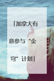 加拿大有意参与“金穹”计划