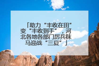 助力“丰收在田”变“丰收到手”，河北各地各部门厉兵秣马迎战“三夏”