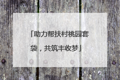 助力帮扶村桃园套袋，共筑丰收梦