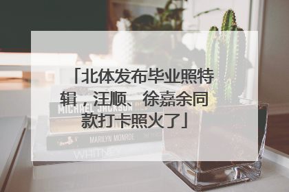 北体发布毕业照特辑，汪顺、徐嘉余同款打卡照火了
