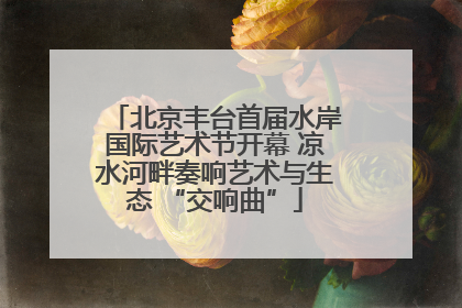 北京丰台首届水岸国际艺术节开幕 凉水河畔奏响艺术与生态 “交响曲”