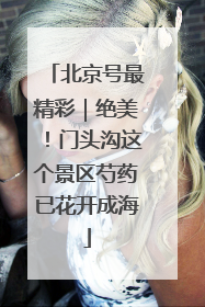 北京号最精彩｜绝美！门头沟这个景区芍药已花开成海