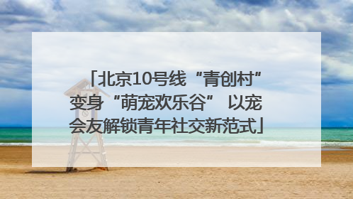 北京10号线“青创村”变身“萌宠欢乐谷” 以宠会友解锁青年社交新范式