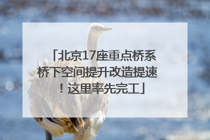 北京17座重点桥系桥下空间提升改造提速！这里率先完工