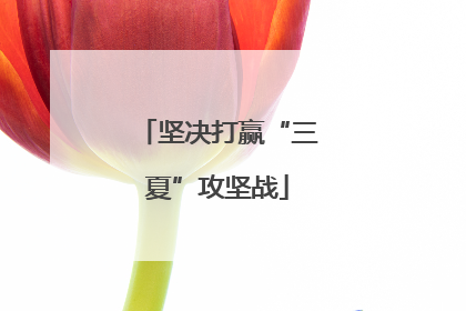 坚决打赢“三夏”攻坚战