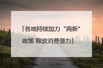 各地持续加力“两新”政策 释放消费潜力