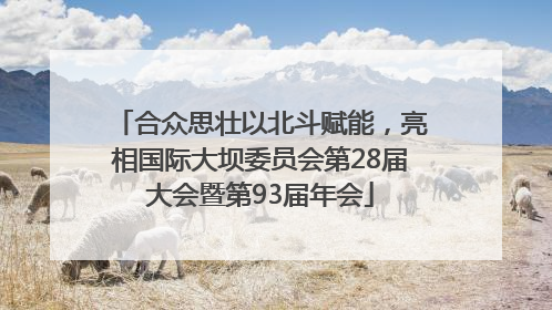 合众思壮以北斗赋能，亮相国际大坝委员会第28届大会暨第93届年会