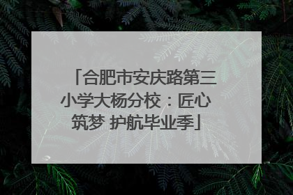 合肥市安庆路第三小学大杨分校：匠心筑梦 护航毕业季