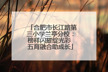 合肥市长江路第三小学兰亭分校：榜样闪耀绽光彩 五育融合助成长