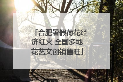 合肥暑假荷花经济红火 全国多地花艺文创销售旺