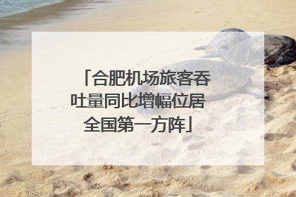 合肥机场旅客吞吐量同比增幅位居全国第一方阵