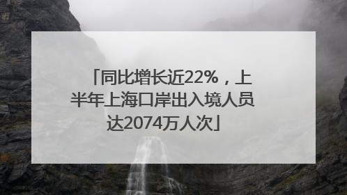 同比增长近22%，上半年上海口岸出入境人员达2074万人次