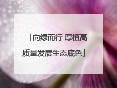 向绿而行 厚植高质量发展生态底色