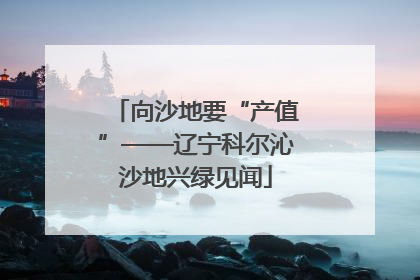 向沙地要“产值”——辽宁科尔沁沙地兴绿见闻