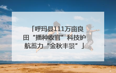 呼玛县111万亩良田“播种收官”科技护航蓄力“金秋丰景”