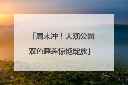 周末冲！大观公园双色睡莲惊艳绽放