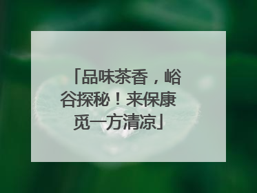 品味茶香，峪谷探秘！来保康觅一方清凉