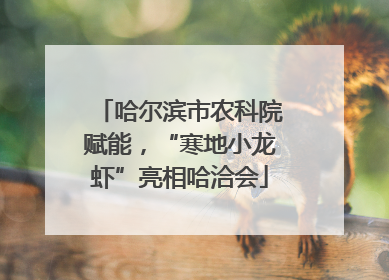 哈尔滨市农科院赋能，“寒地小龙虾”亮相哈洽会