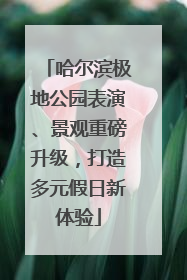 哈尔滨极地公园表演、景观重磅升级，打造多元假日新体验