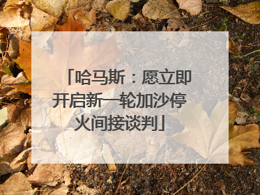 哈马斯：愿立即开启新一轮加沙停火间接谈判