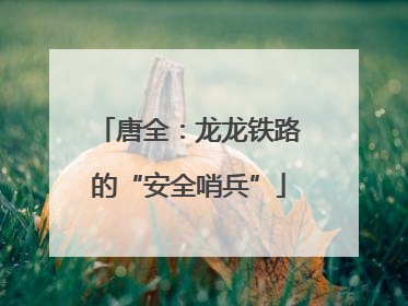 唐全：龙龙铁路的“安全哨兵”