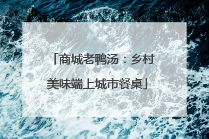 商城老鸭汤：乡村美味端上城市餐桌
