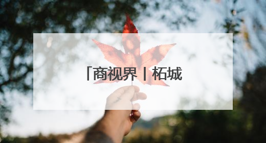 商视界丨柘城县：容湖湿地葵花竞相绽放