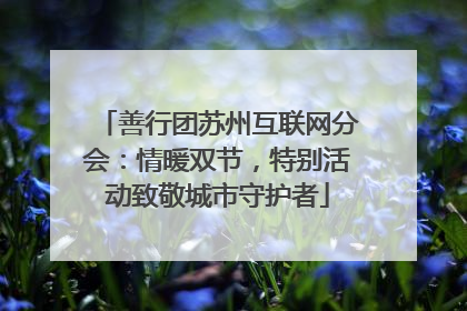 善行团苏州互联网分会：情暖双节，特别活动致敬城市守护者