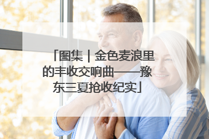 图集｜金色麦浪里的丰收交响曲——豫东三夏抢收纪实