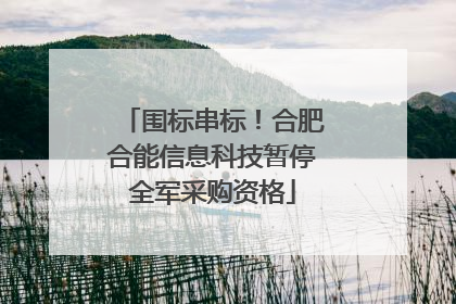 围标串标！合肥合能信息科技暂停全军采购资格