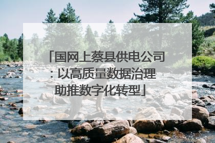 国网上蔡县供电公司：以高质量数据治理 助推数字化转型