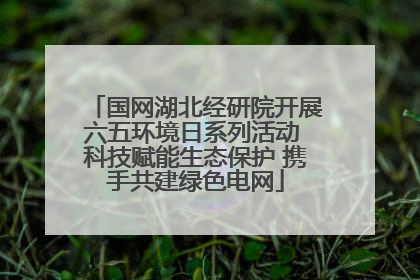 国网湖北经研院开展六五环境日系列活动 科技赋能生态保护 携手共建绿色电网
