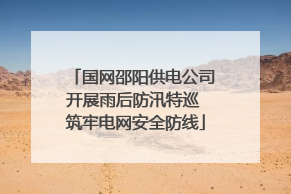 国网邵阳供电公司开展雨后防汛特巡 筑牢电网安全防线