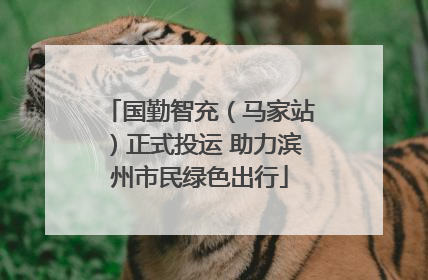 国勤智充（马家站）正式投运 助力滨州市民绿色出行