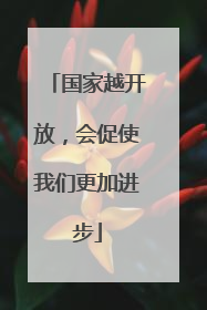 国家越开放，会促使我们更加进步