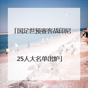 国足世预赛客战印尼25人大名单出炉